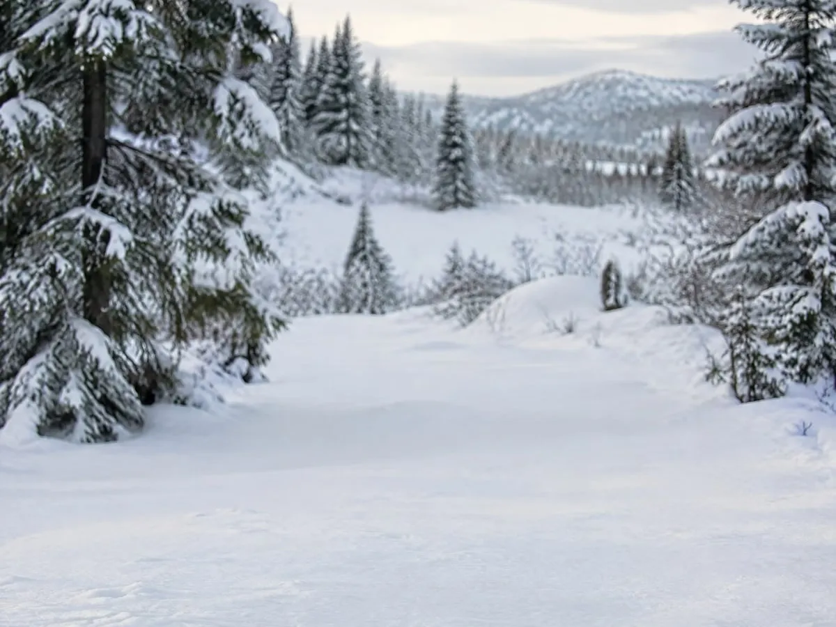The snow, empty
